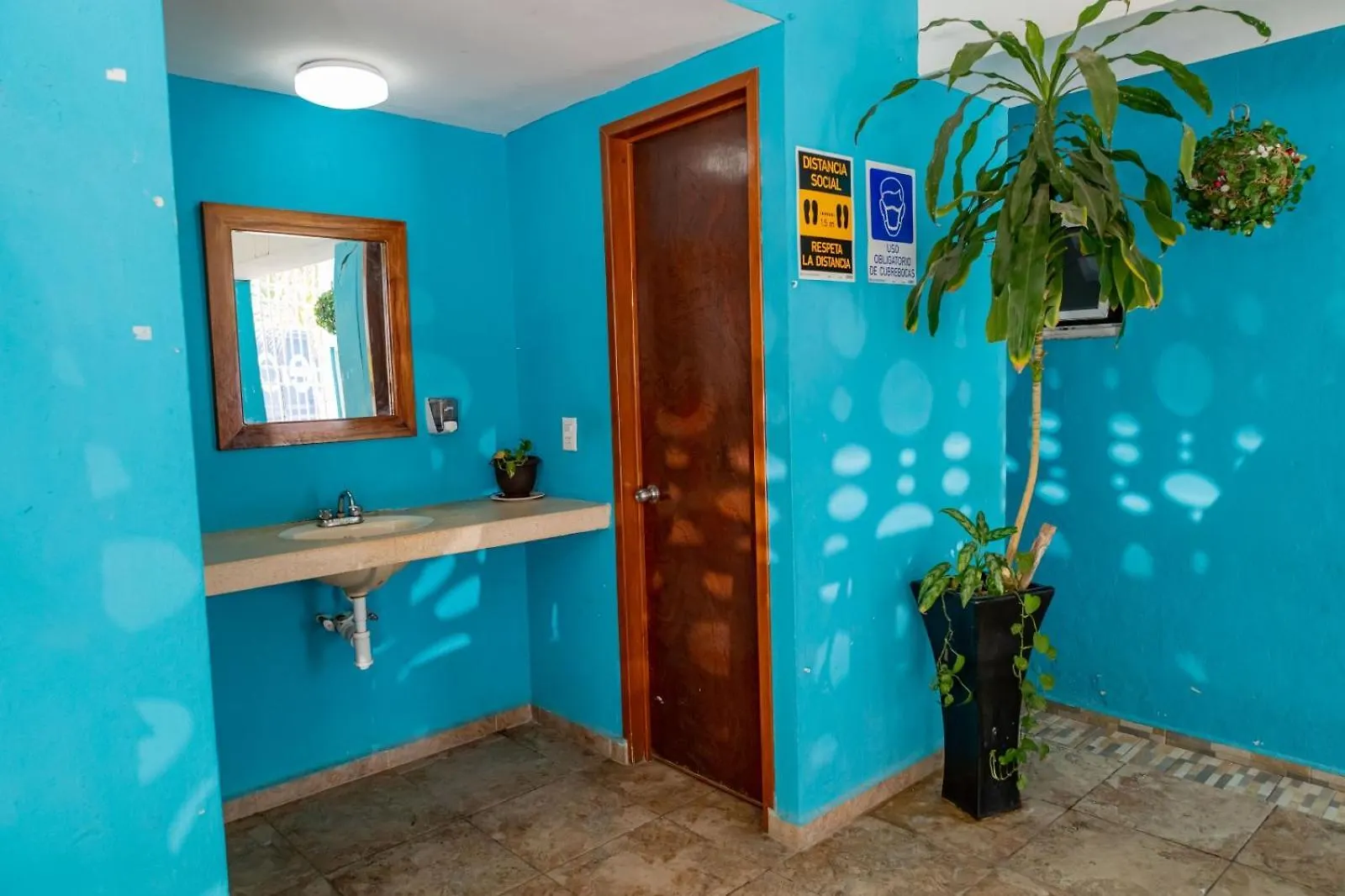 Hotel Las Palmas En Laurel Κανκούν 3*,