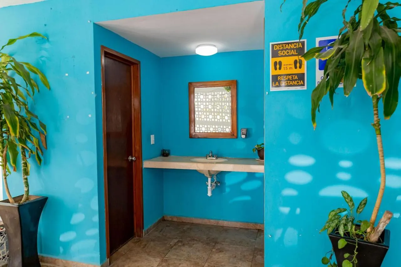 Hotel Las Palmas En Laurel Cancún